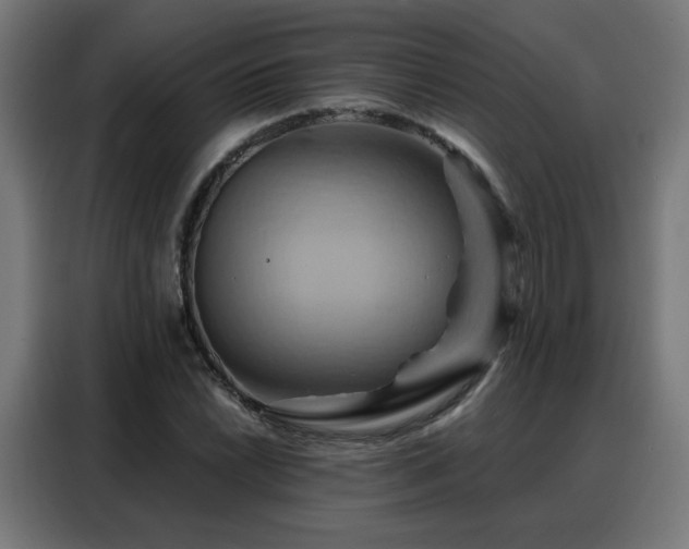 X0000088381022200705221049