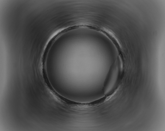 X0000088381024200705221049