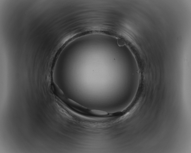X0000088381025200705221049