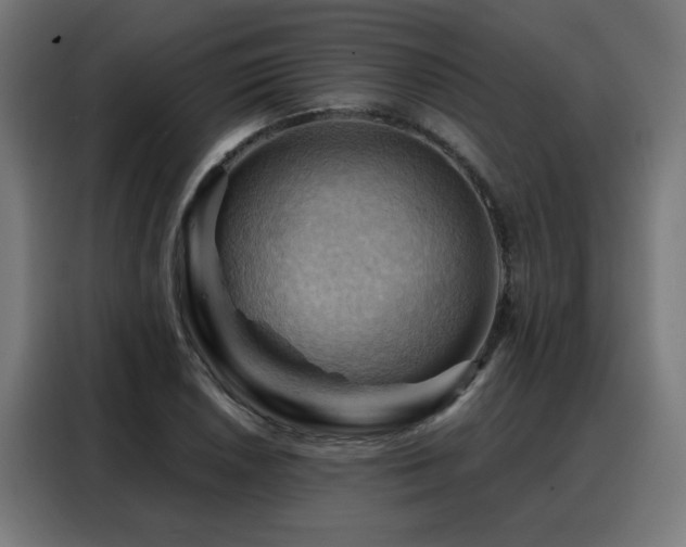 X0000088381026200705221049