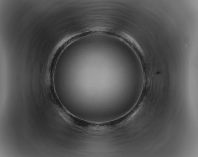 X0000088381027200705221049