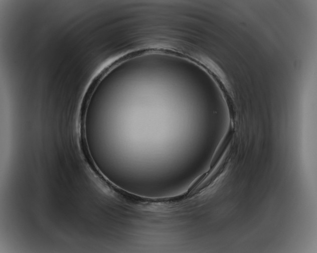 X0000088381028200705221049