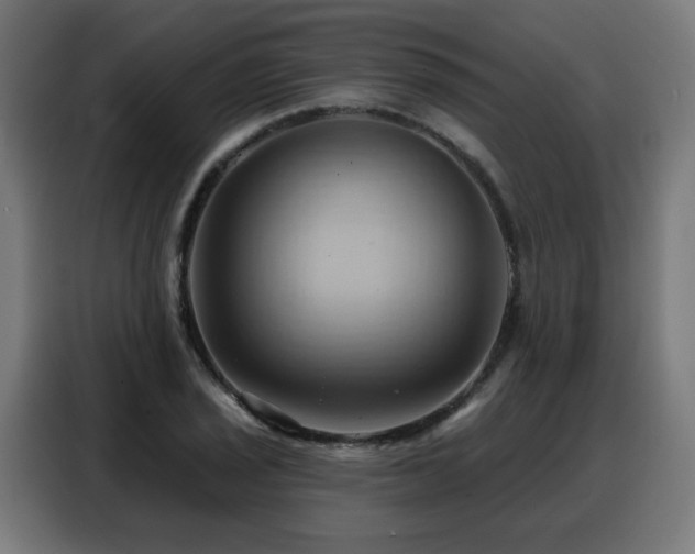 X0000088381029200705221049