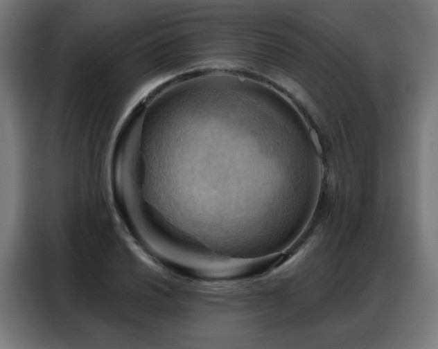 X0000088381030200705221049