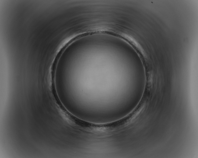 X0000088381031200705221049