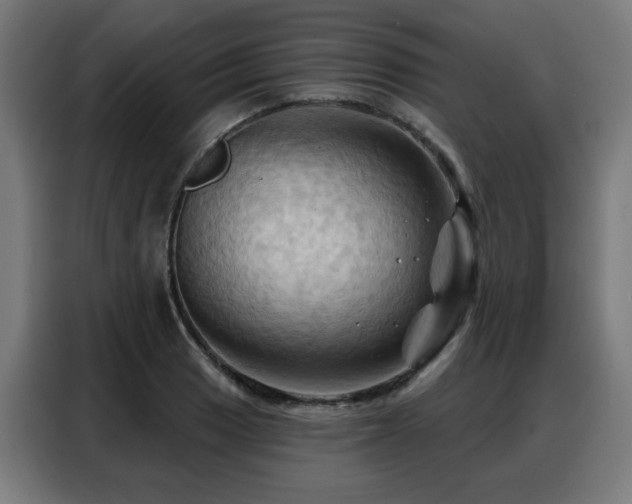 X0000088381033200705221049