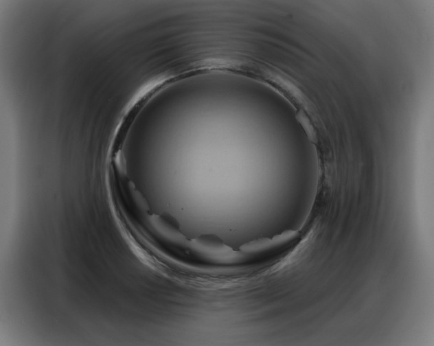 X0000088381034200705221049