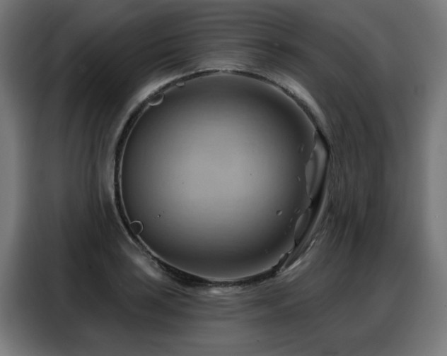 X0000088381035200705221049