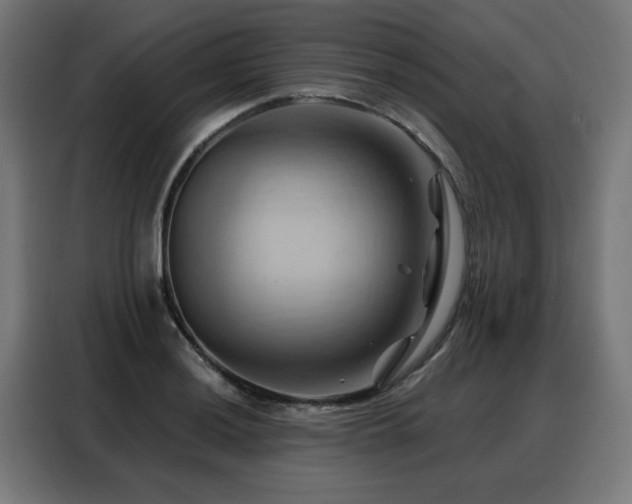 X0000088381036200705221049