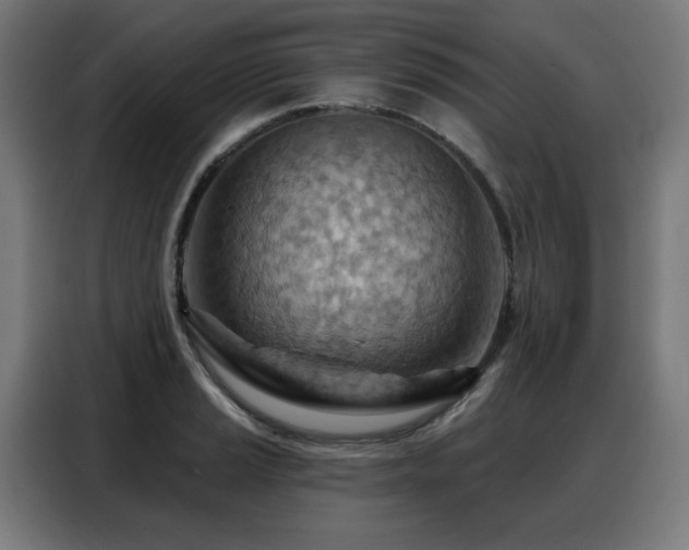 X0000088381037200705221049