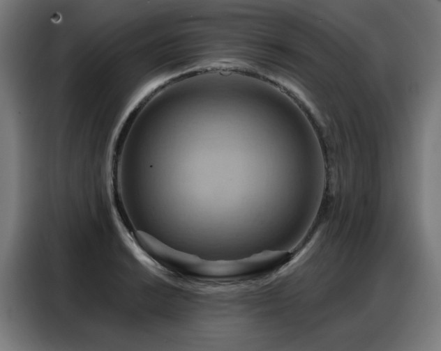 X0000088381038200705221049