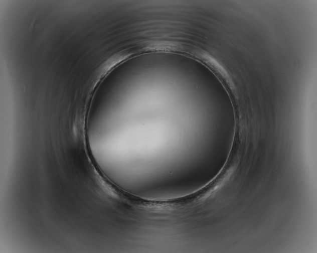 X0000088381041200705221049