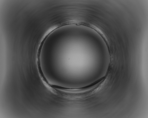 X0000088381042200705221049