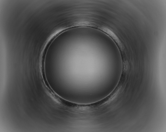 X0000088381043200705221049