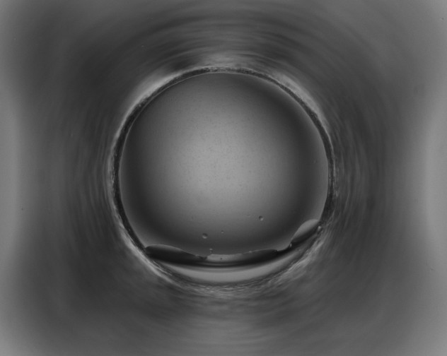 X0000088381045200705221049