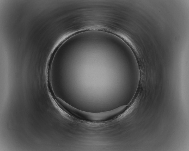X0000088381046200705221049