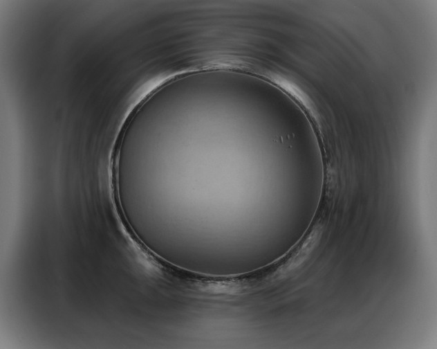 X0000088381047200705221049