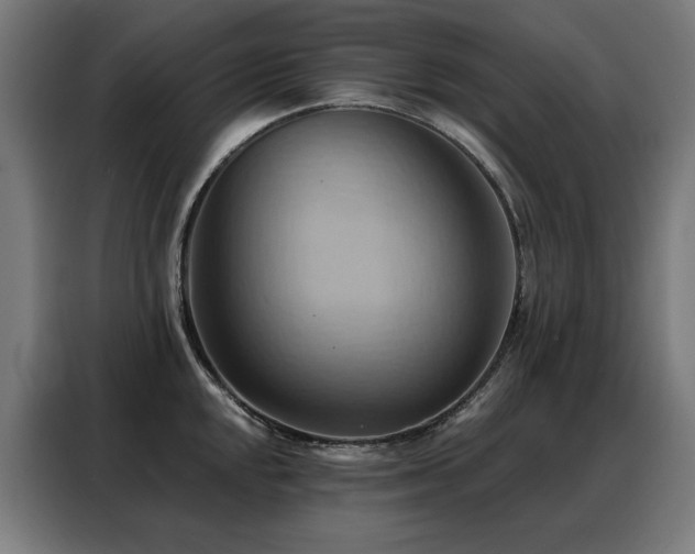 X0000088381048200705221049