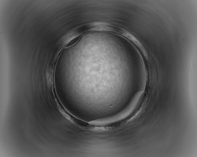 X0000088381049200705221049