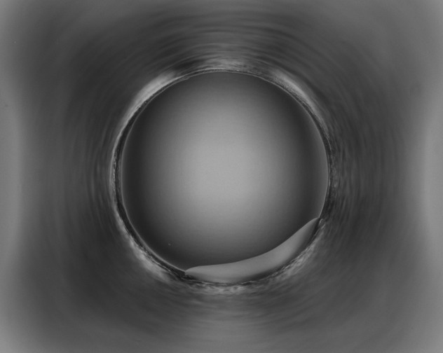 X0000088381050200705221049