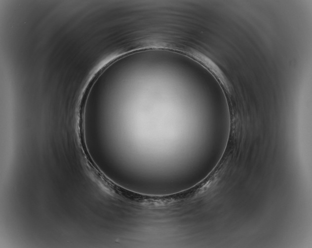 X0000088381051200705221049