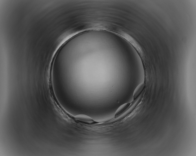 X0000088381052200705221049