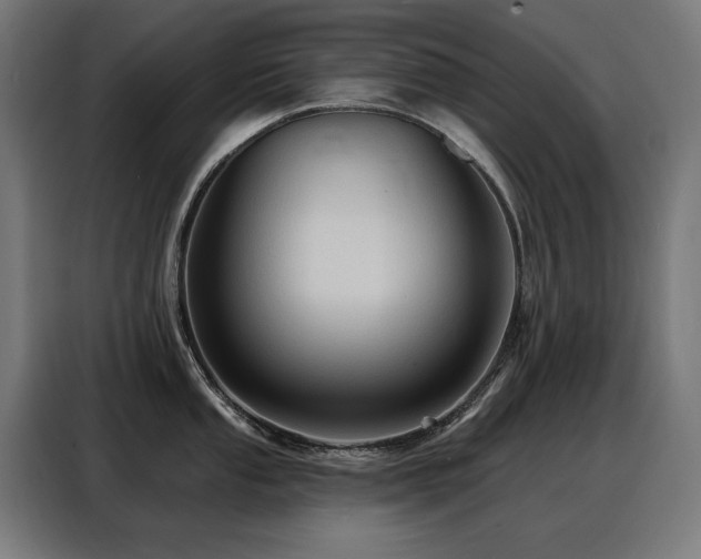 X0000088381053200705221049