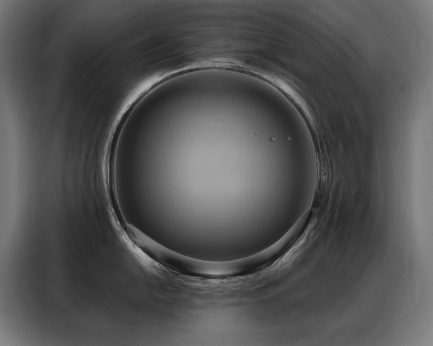 X0000088381054200705221049