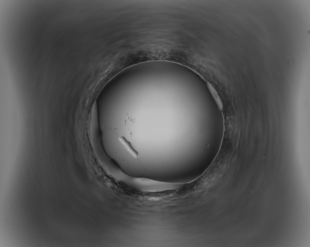 X0000088381057200705221049