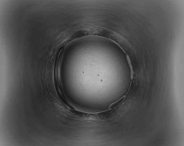 X0000088381058200705221049