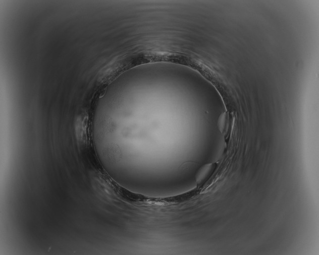 X0000088381059200705221049