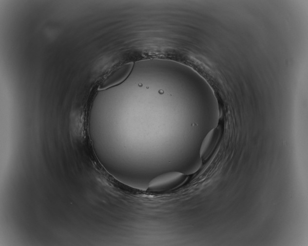 X0000088381060200705221049