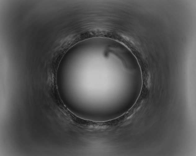 X0000088381061200705221049