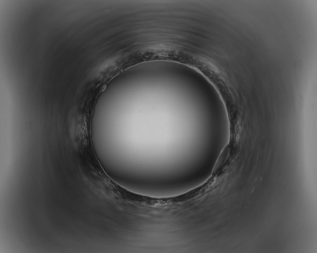 X0000088381062200705221049