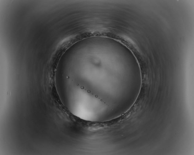 X0000088381063200705221049