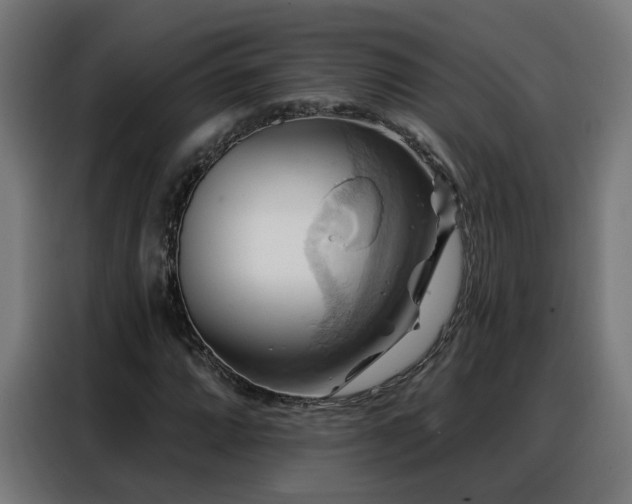 X0000088381064200705221049