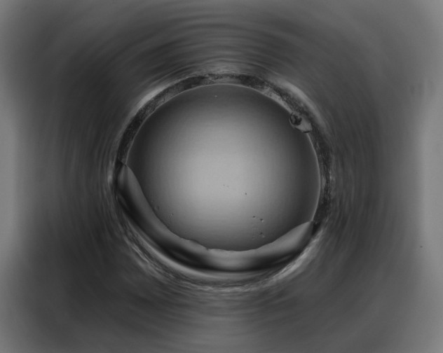 X0000088381065200705221049