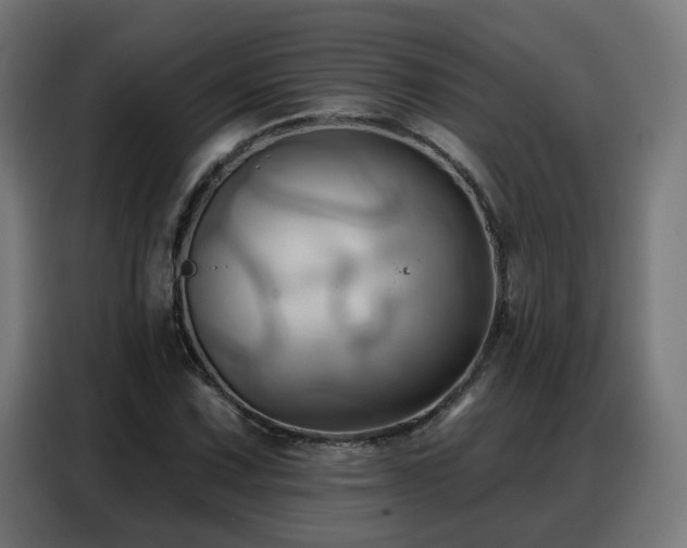 X0000088381067200705221049