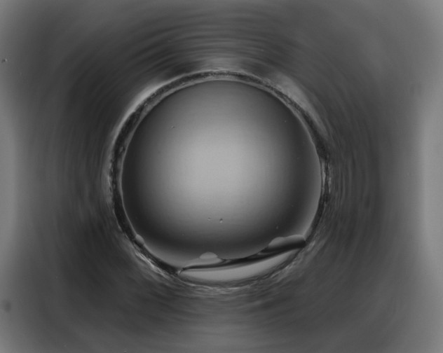 X0000088381068200705221049