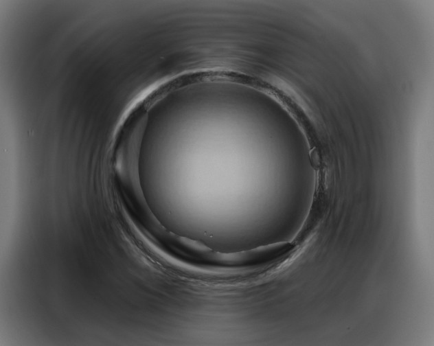 X0000088381069200705221049