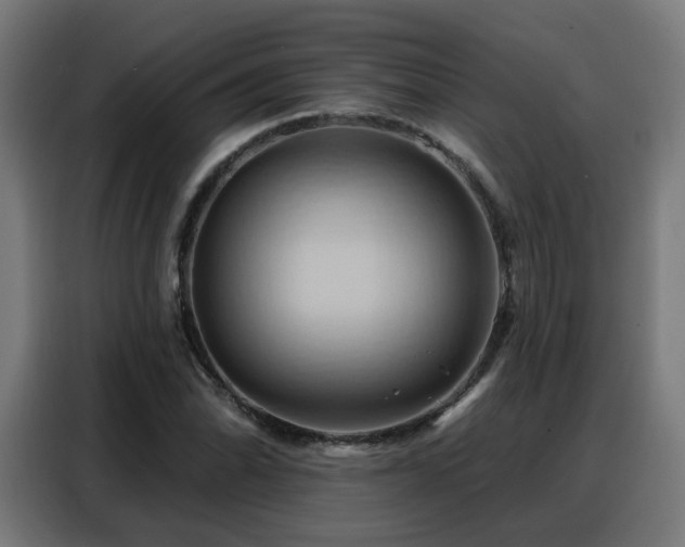 X0000088381070200705221049