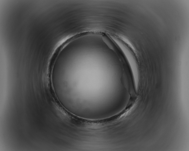 X0000088381071200705221049
