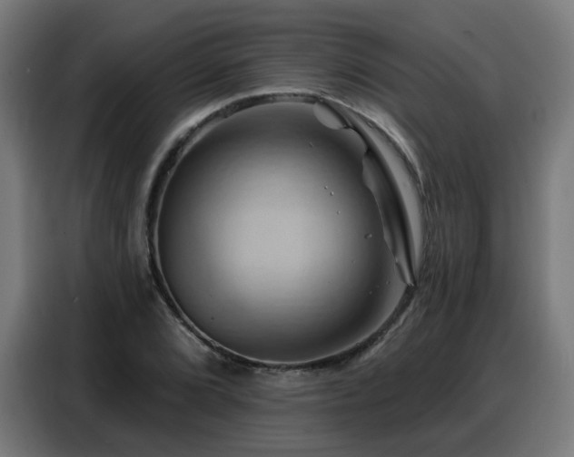 X0000088381072200705221049