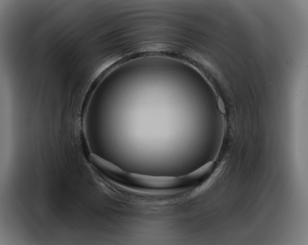 X0000088381073200705221049