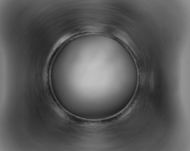 X0000088381074200705221049
