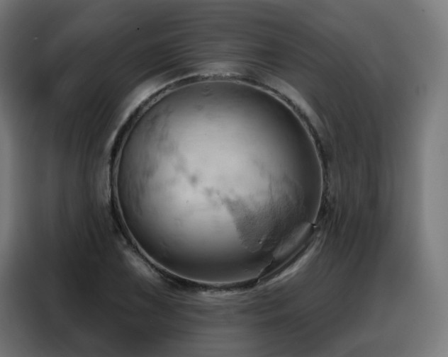 X0000088381075200705221049