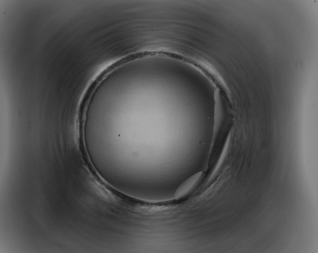 X0000088381076200705221049