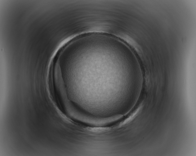 X0000088381077200705221049