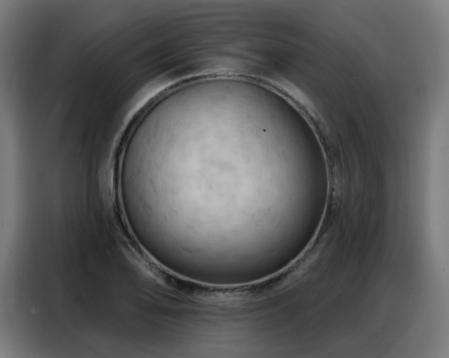 X0000088381078200705221049