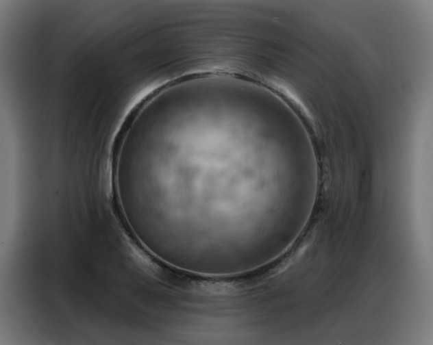X0000088381079200705221049